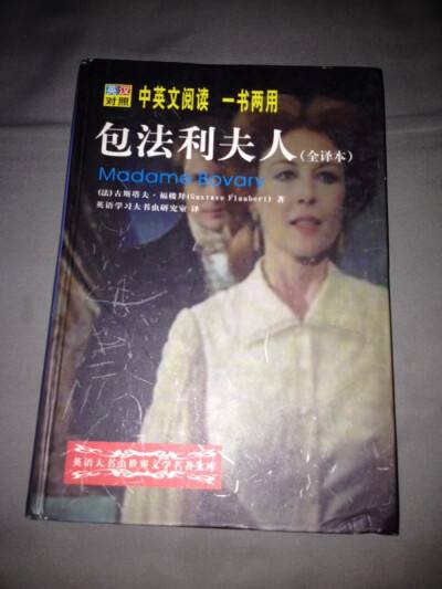 关于包法利夫人txt的信息