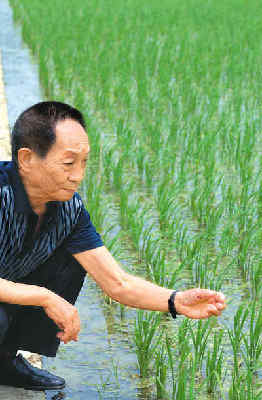 {六合彩}(袁隆平纪录片题)